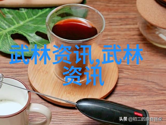 谈论用意不用力魏建国与中国最有实战性的功夫在社会中的应用