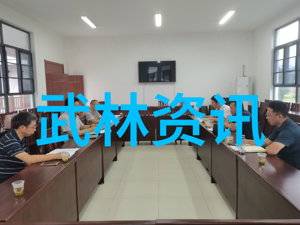 探秘世界武术巅峰揭秘第一的奥秘与魅力