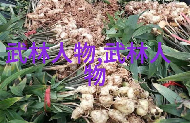 中国传统武术拳法-沉淀千年中国传统武术拳法的精髓探究