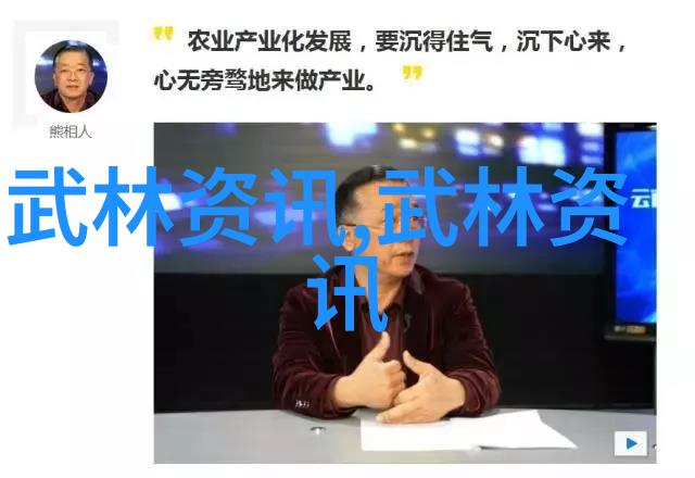 太极拳简式24式的艺术与实践