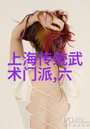 武术12大基本动作