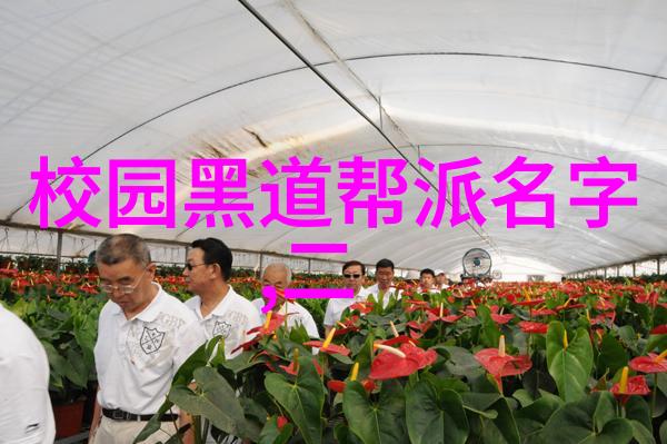 温柔有九分细腻关怀的艺术