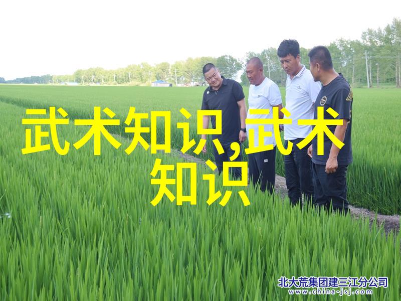 中国武术之巅太极拳古老智慧的动态平衡