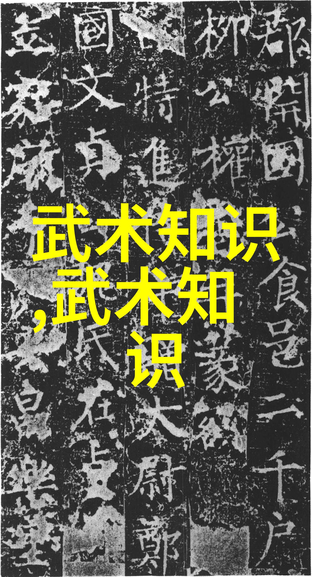 武林秘籍全集悟道少林之谜