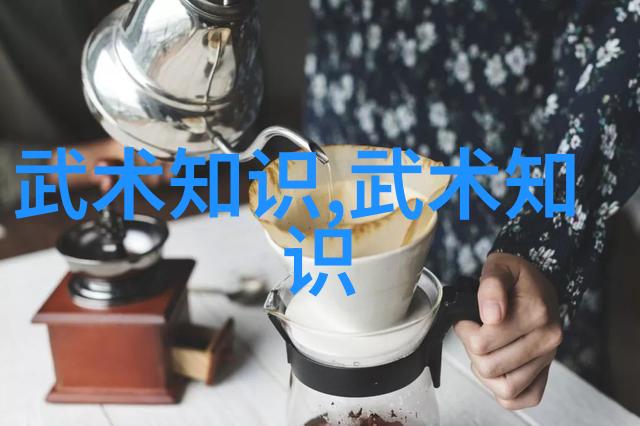 武林秘籍大全揭秘古老武学的传承与演变