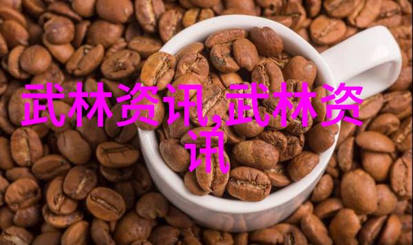 剖析武功与武术差异技巧内涵与实践之辨