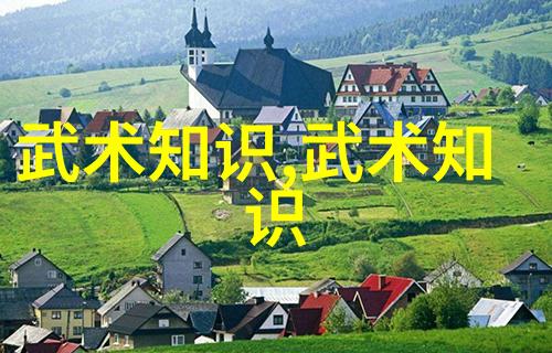 柔韧强身功夫训练如何提升身体柔韧度