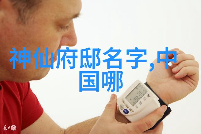 中国武术的巅峰之作揭秘十大强势风范