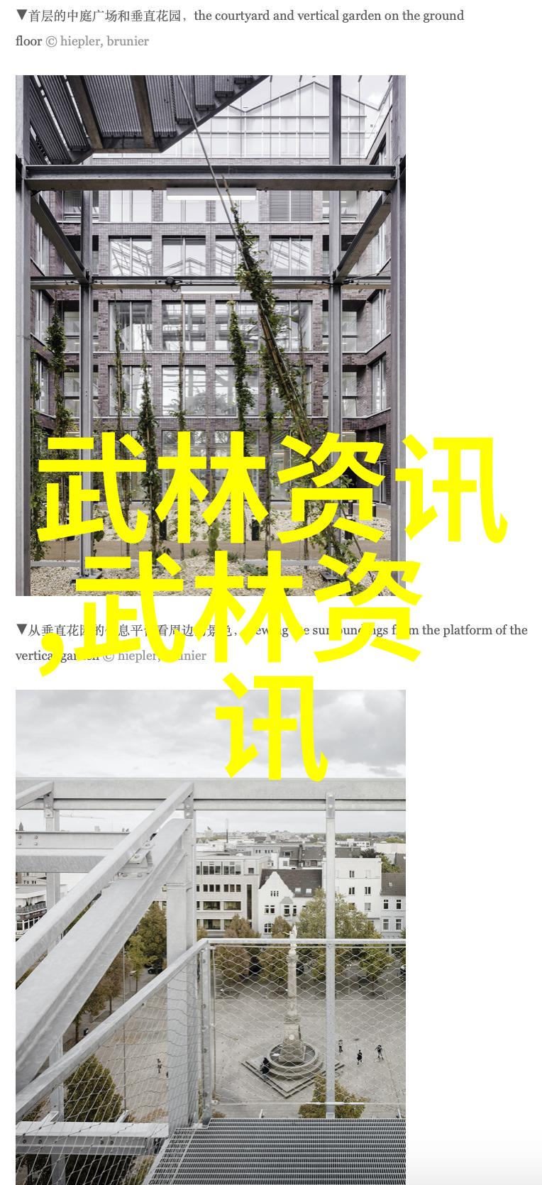他似火军婚高干的婚恋故事全文免费txt下载