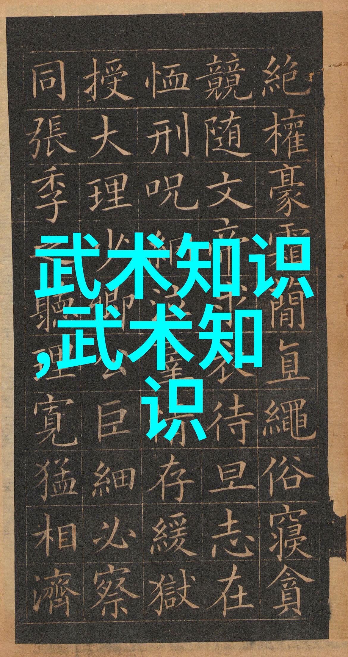 武术的智慧与实践探索内功与外形的完美结合