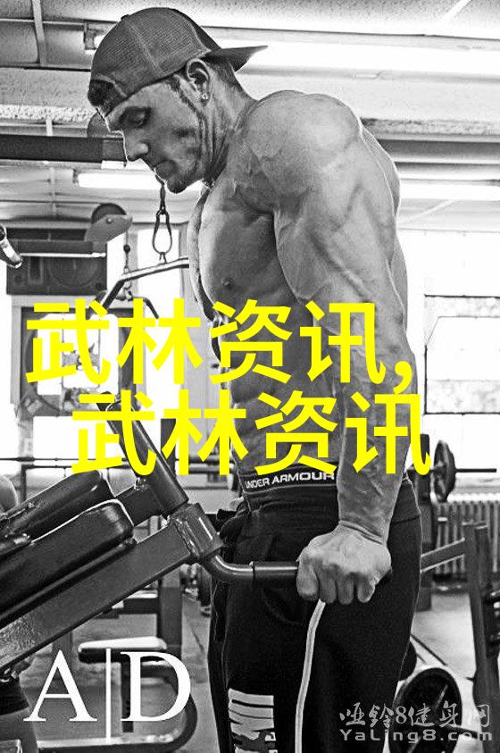 中华武林秘谱揭秘中国古老武术流派的真相