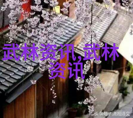 少林最厉害的拳法咱们来一场武林秘籍的大揭秘