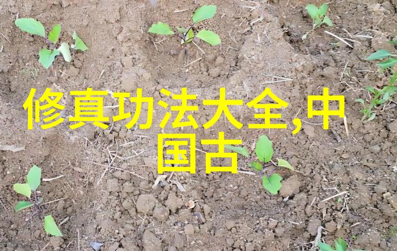 低碳先行 黄山举办万名妇女三八骑行活动
