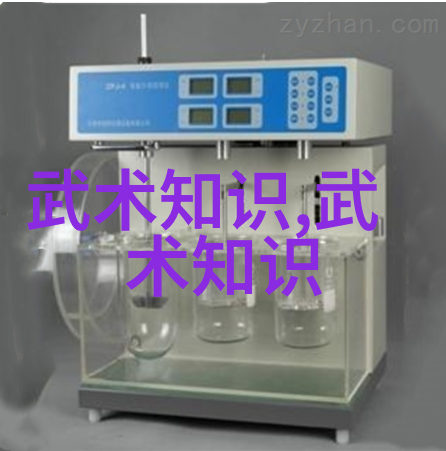 最能体现少林正宗武学的招式是什么样的