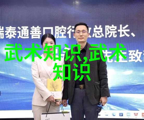 中国武术的丰富多彩从内家到外家的各种流派探索