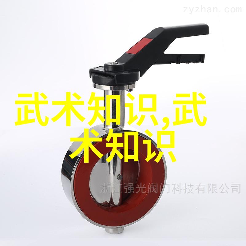 诗意帮派流浪的墨香与青春的光芒