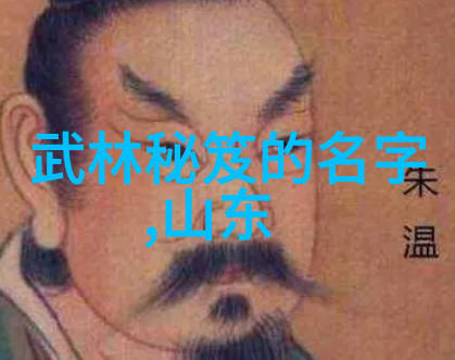 贵州武林门派之旅探索贵州的传统武术文化