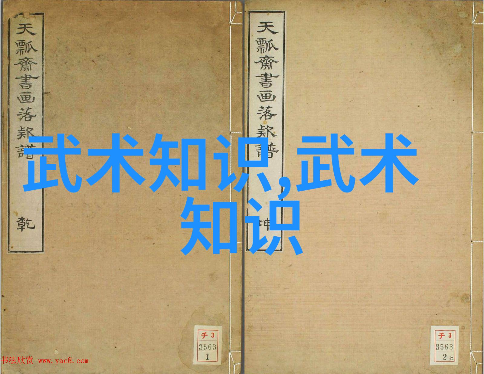拳脚兼施什么样的训练可以让你掌握多种实战性武术