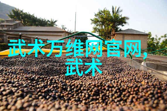 武功秘籍网我这就给你找来点厉害的秘籍