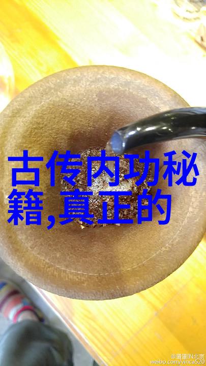 少儿散打武术儿童健身养成武术技巧学习