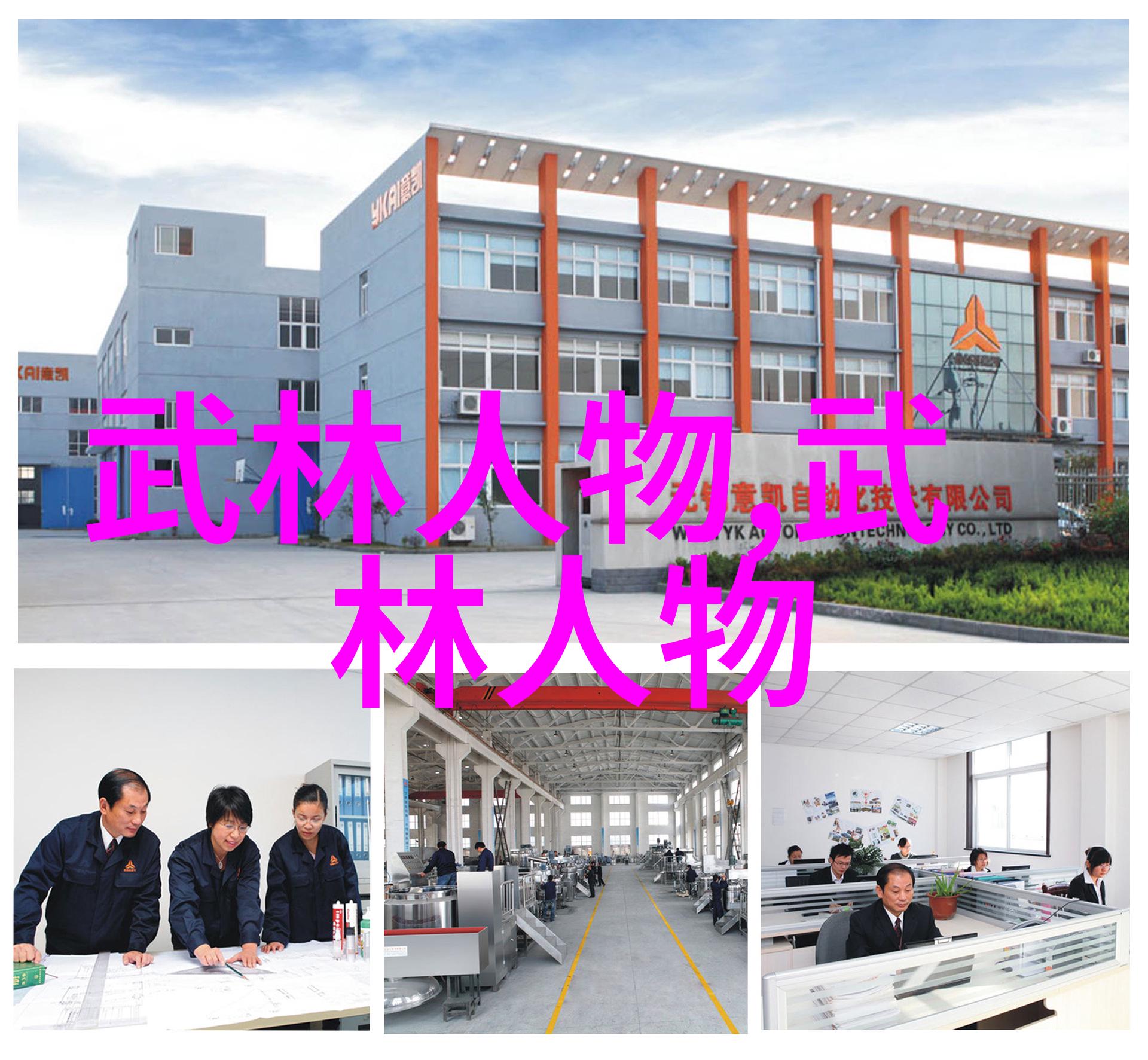 功夫大全招式拳法我来教你一套简易的散手拳法