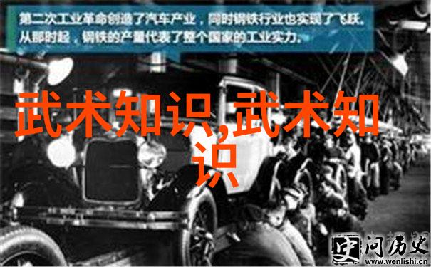 从杨家将到少林拳走进中国传统文化的武术殿堂