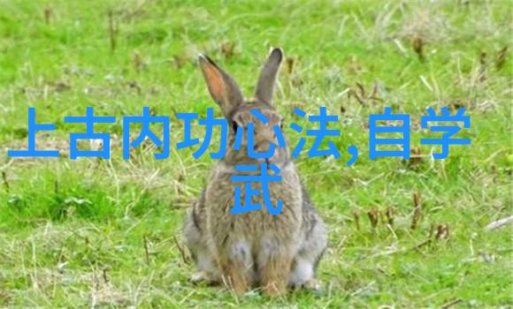 刀光闪烁历史上的著名刀法及其背后的故事