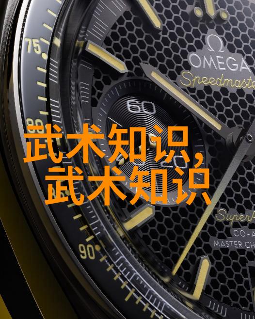 星辰引导行者自在理解流星划破夜空古风武学