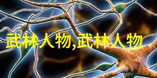 掌握神功必备探索最隐秘的武学艺术