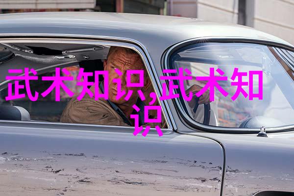 太极拳与气功武功自学教学视频