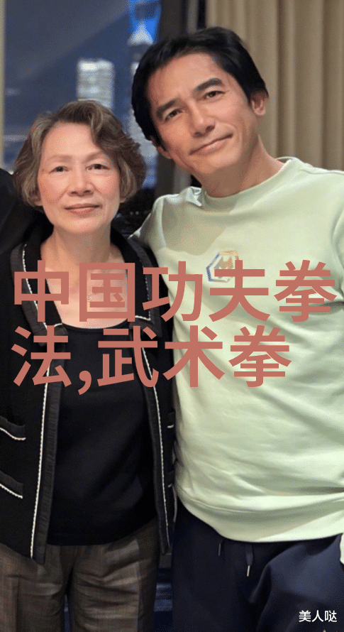 禅武医捶把论-王浩磊