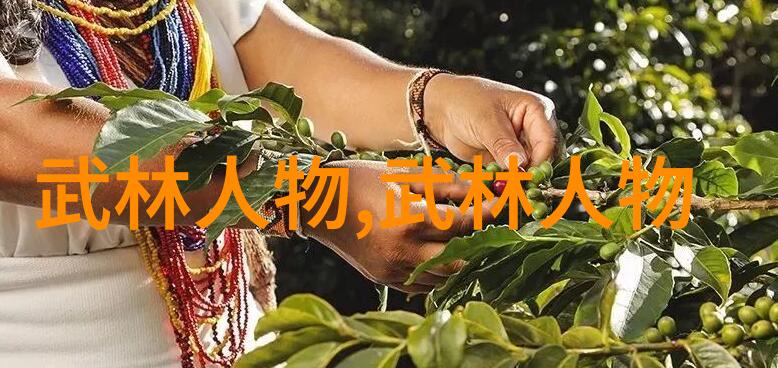 天涯明月刀下求生分析射雕英雄传中的七十二绝技