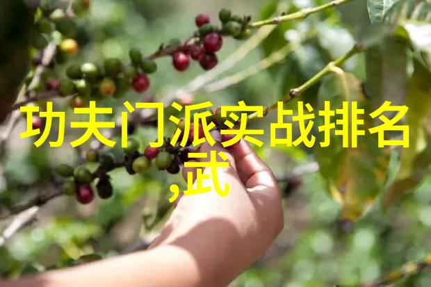 扑克之旅探索扑克游戏的魅力与技巧
