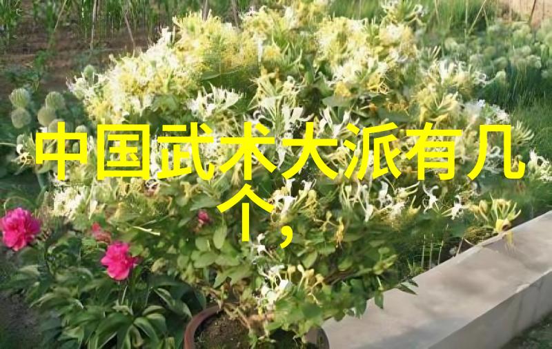 太极拳的内在智慧揭秘24式的正面与背面的深层含义