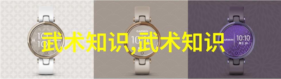 武林16大门派成员名单过气捶的反复考量