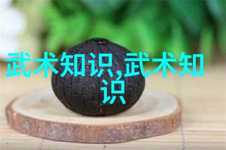 适合自学的武术太极拳推腿练功简述 - 张宝银
