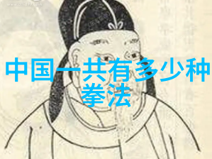 太极拳口令与动作的和谐共舞解读四十式视频教程