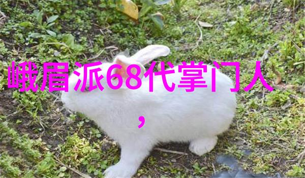 金庸武林门派谱系江湖秘密与武学源流