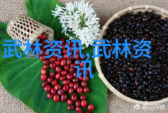 校园文探索青春与成长的诗篇