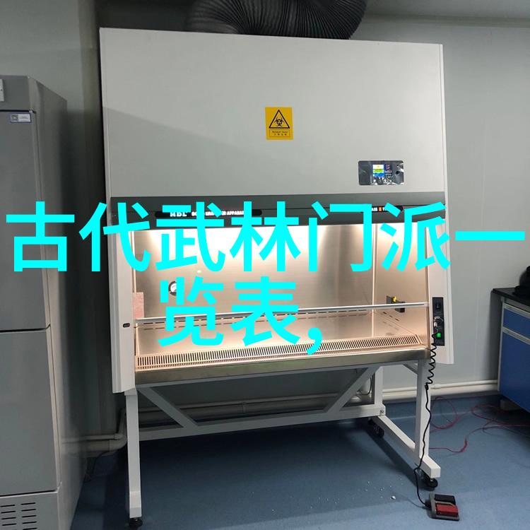武林秘笈揭秘中国功夫的深层之术