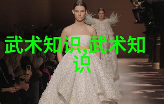 武术知识全集探索古代至现代武学精髓