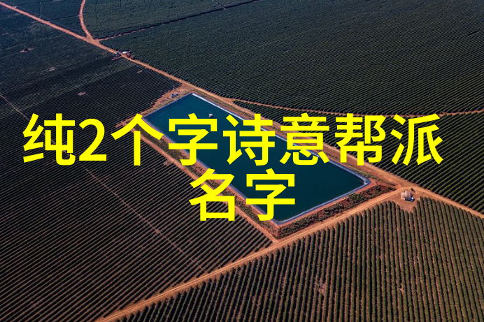 中国武术有多少种拳法-探索千年传承揭秘中国武术中的拳法多样性