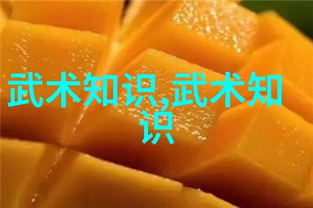 尊重源远流长的文化根基中国几种古老武术流派简介