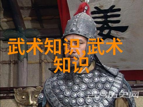 六字武功秘籍内敛的力量