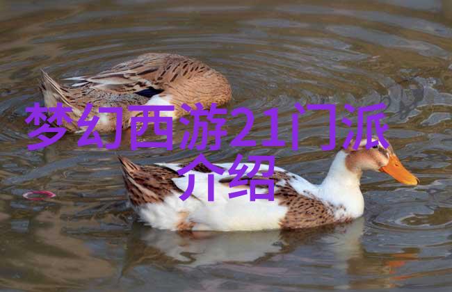 太极拳与葡萄酒24式口令在社会的共融