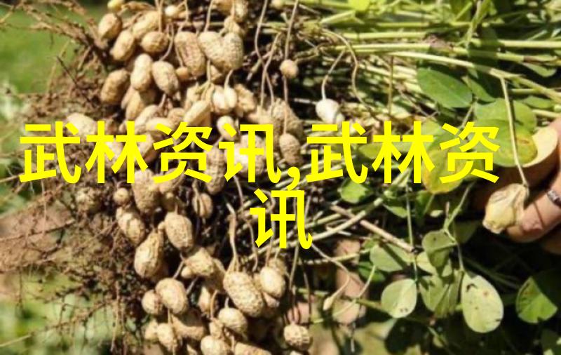 江湖中有无人能与我匹敌
