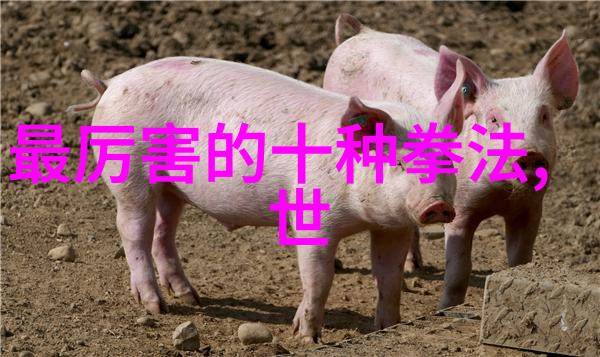 春风不待拳破云霄咏春拳法的秘密之谜