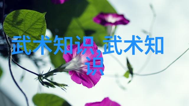 女儿帮风华之光