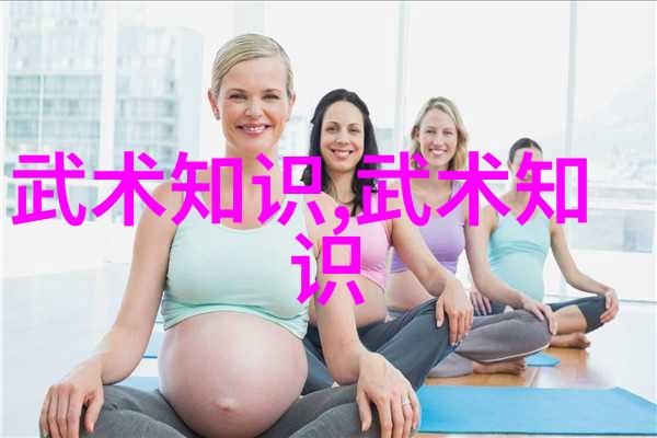 城市之脉探索公交车轮C多肉的奥秘