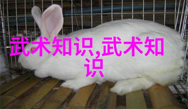 武林八大门派掌门人我与那些武林老前辈的故事